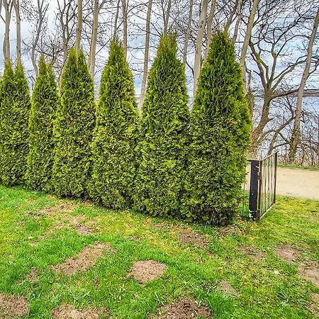 Amazing In With Wifi Feriehus Stralsund